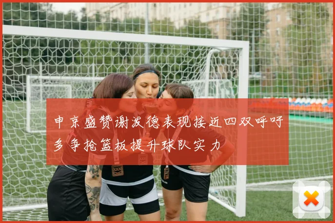 申京盛赞谢泼德表现接近四双呼吁多争抢篮板提升球队实力