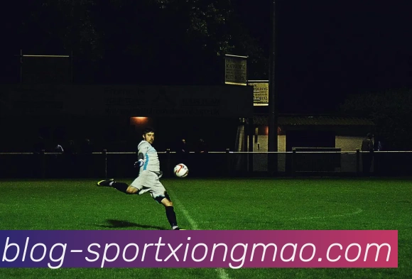 熊猫体育平台生态图